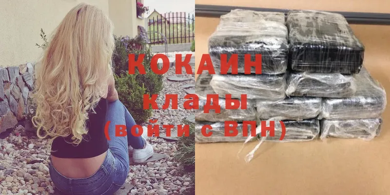 Cocaine Боливия  купить закладку  Будённовск 